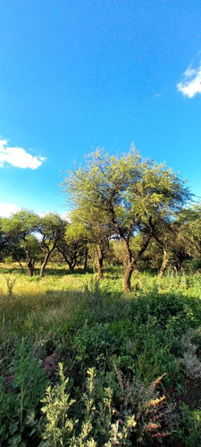 Terrenos En Cabildo-jujuy-catamarca-saavedra, Toay