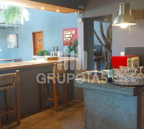 Imagen 10 de 28 de Vende Chacra De 10 Hectáreas Con Una Casa De 500 M2 - Penitente - Minas
