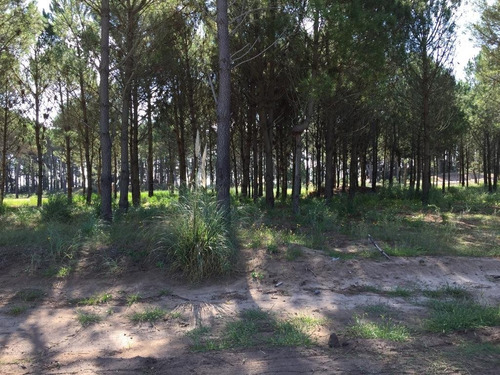 Imagen 1 de 9 de Vendo Lote Barrio Pioneros Pinamar