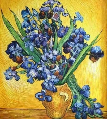 5d Pintura Por Diamantes - Irises - Van Gogh (30x40cm)