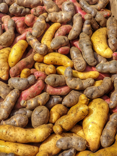 Papas Nativas Chiloé ( 1 Kg ) - El Huerto De Chiloé