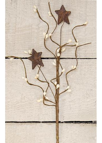 White 2 Pip Berry Picks Stems Rusty Stars Primitive Craf Bbc