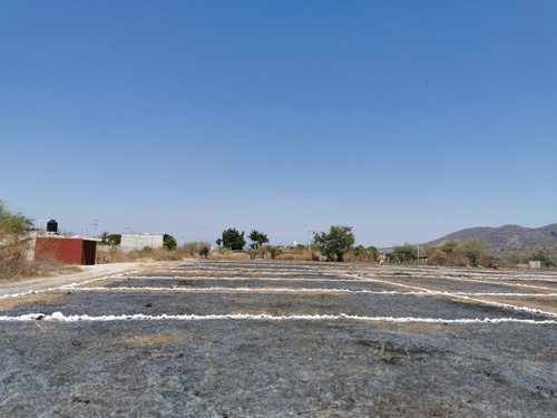 Imagen 12 de 14 de Terrenos En El Centro De Tequesquitengo Facilidades De Pago