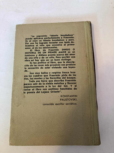 Dingo Historia De Un Primer Amor (Usado)