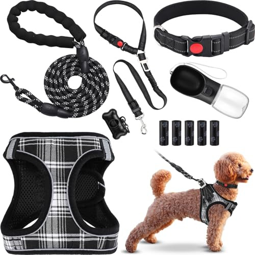 Jgo 11 Pzas Arnés Y Collar Antitirones Para Perros Kit De In