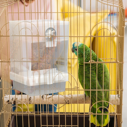 Para Pájaros Sin Ensuciar Recipiente De Comida Acrílico Con
