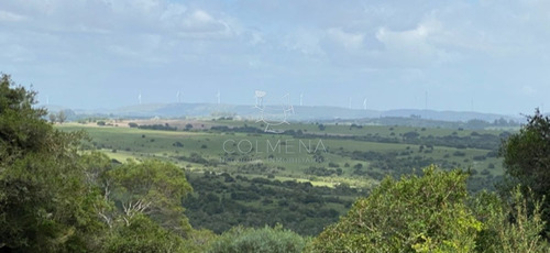 Imagen 26 de 30 de 7 Chacras De 5 Has Cada Una A 20 Km De Aigua Por Ruta 39 - Consulte !!!!!