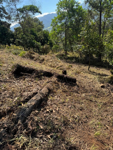 Terreno En Venta En Jarabacoa