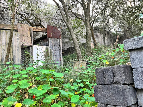 Terreno De 122m2, Colonia Primavera