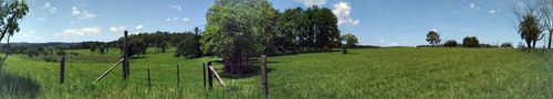 Imagen 8 de 21 de Lote En Venta 1219m2 En Puerto Rico - Loteo Clemens Blick
