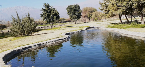Venta Quinta Con Estanque Propio