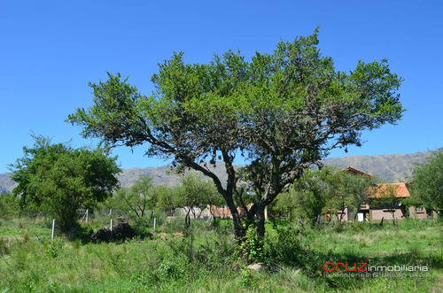 Imagen 6 de 14 de Lote De 1000m2 En Barrio Solares, Pegado A Las Moreras