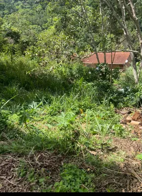 Terreno en venta