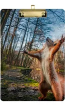 Comprar Animal Funny Squirrel Forest - Portapapeles Niños, Est...