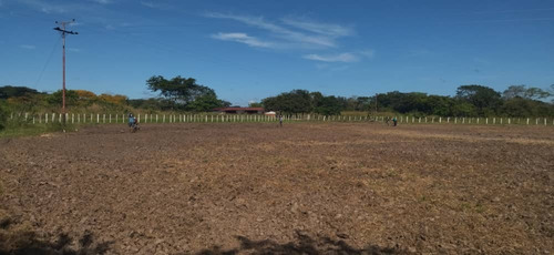 Imagen 11 de 13 de Hermosa Finca En Achaguas Apure A Tan Solo Minutos De La Carretera Nacional Código 10791 Niurka 04148321738