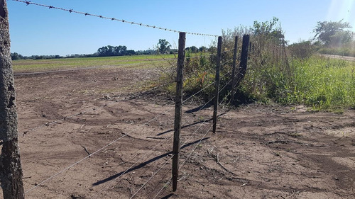 Imagen 4 de 5 de Terreno - Zarate