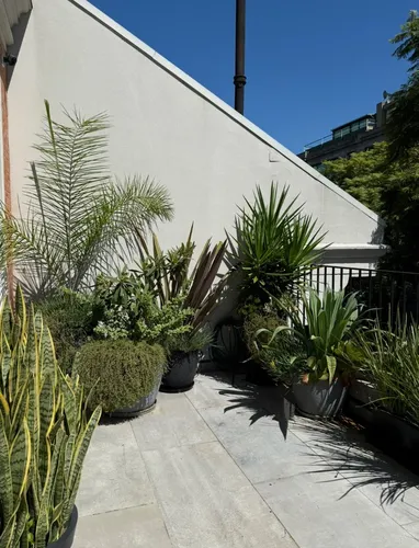 Paisajismo Y Jardinería
