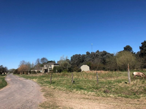 Imagen 4 de 5 de Lote | Las Casuarinas
