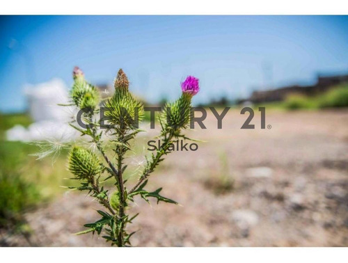 Imagen 7 de 16 de Venta Lotes En Francisco Primero, Arroyo Seco Manzana L