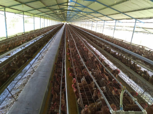 Imagen 18 de 24 de Venta Granja En La Ciudad Valencia Estado Carabobo
