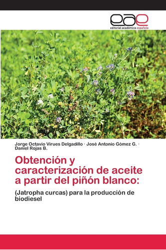 Libro Obtención Y Caracterización De Aceite A Partir De Lcm8