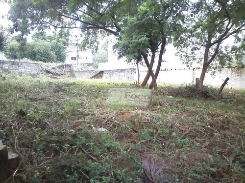 Imagem 4 de 8 de Terreno Comercial À Venda, Vila Sorocabana, Guarulhos - Te0094. - Te0094