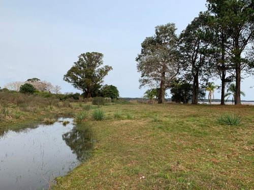 Imagen 2 de 7 de Chacra En La Laguna Del Sauce Con 2 Casas , Paz Y Tranquilidad.