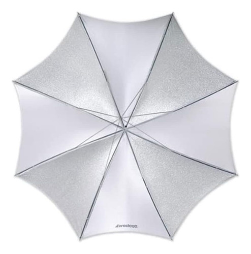 2006 45-inch Soft Silver Umbrella