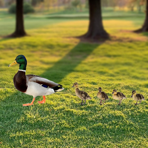5 Peças Estátuas De Pato Estacas De Jardim Estatuetas