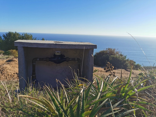Vista De Primera Línea, Costa Vichuquén