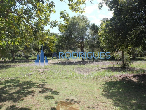 Imagem 13 de 20 de Ótimo Terreno À Venda Localizado Em Trancoso Todo Documentado E Levantamento Topográfico! - Te00126