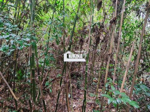 Imagem 8 de 14 de Terreno Para Venda - 02950.8695