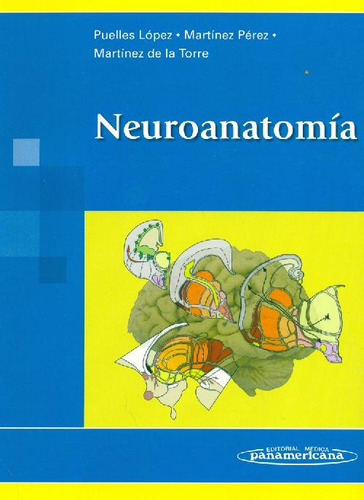 Libro Neuroanatomía De L Puelles Lopez S Martinez Perez M Ma