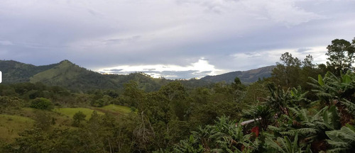 Vende Finca En Jarabacoa, Cultivadad