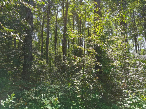 Hermosa Parcela A 4 Km De Pucón