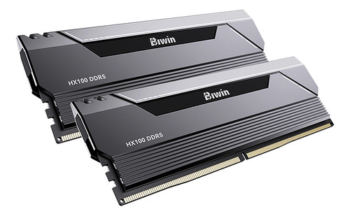 Memoria Ram Ddr5 32gb 6000mt/s Biwin Hx100 2x16gb Negro