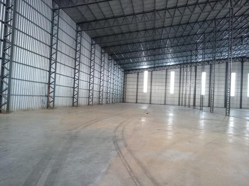 Deposito Alquiler 5000 M2 Cub 2000 M2 Semi Cub Zarate
