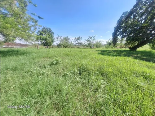 Venta Lotes En Quimbaya -quindío Colombia Cod: 7555717