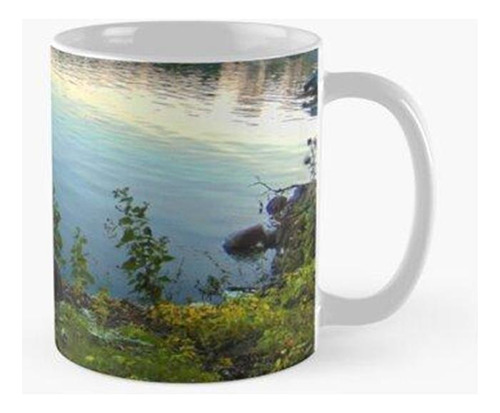 Taza Lago Kegonza Calidad Premium