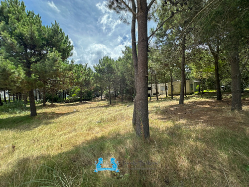 Venta Oportunidad Lote - 1354 Metros - Costa Esmeralda Barrio Residencial 1