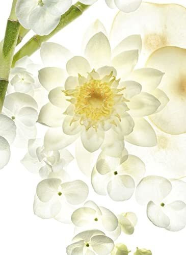 Bvlgari Omnia Crystalline Eau De Toilette En Espray 40 Ml/1,