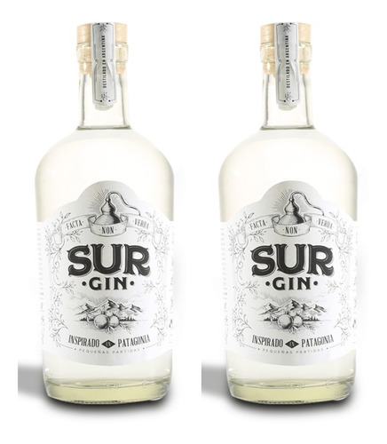 Gin Sur 750 Ml X2 - Zetta Bebidas