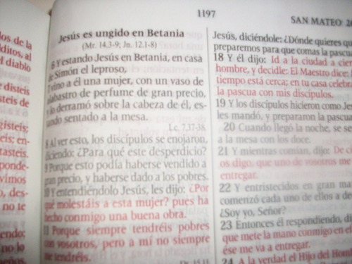 Santa Biblia Reina Valera 1960 Biblia Cristiana Letr Gigante