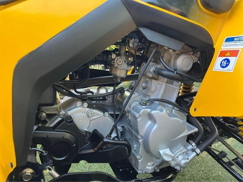 Imagen 6 de 7 de Can Am Ds 250 Impecable Como Nuevo!!!!
