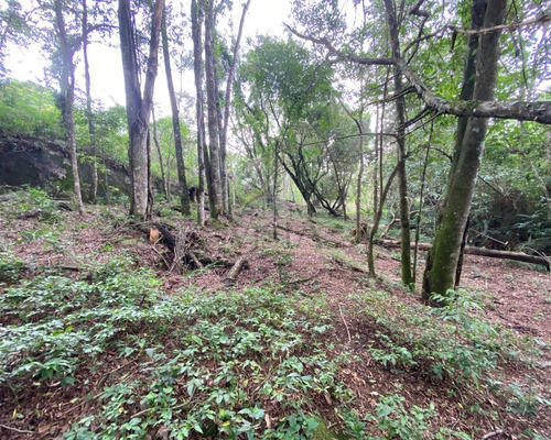 Chácara Próxima Ao Centro A Venda Em Piracaia - Sp - Ch00052 - 68973912