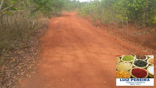 Imagem 6 de 15 de Fazenda Á Venda Em São Valerio - To - De 225 Alqueirões - 1586