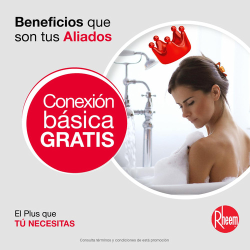 Calentador Depósito Eléct Mural Rheem 35 Litros 110 V 1 Serv