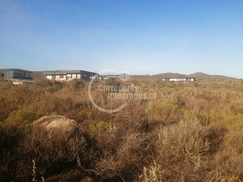 Sitio Venta Rocas Del Mar - Los Molles