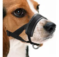 Comprar Cubrehocico Ajustable Para Perro, Antimordedura, Para Cachor