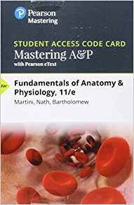 Mastering A Y P With Pearson Etext  Standalone Access Card  